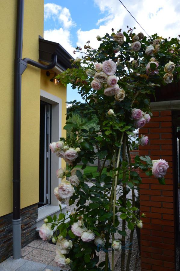 Apartment Kancler Nova Gorica Eksteriør bilde